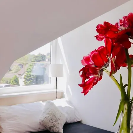 Entire 2nd Floor Of With 3bedroom With Large Garden,bbq,pool,sauna,free Parking Chata *